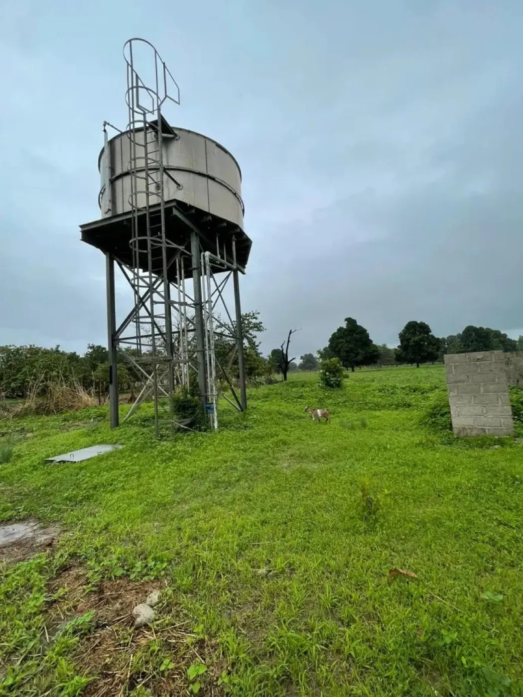 Wassertank und Brunnenanlage in Gambia